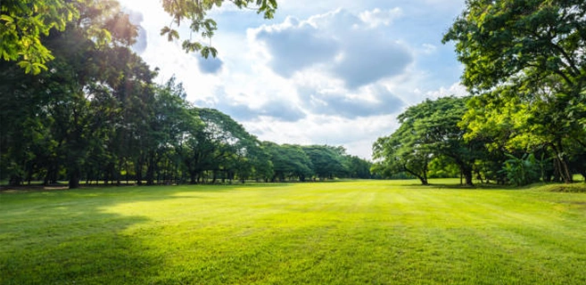 Enclosed With Lush-Green Landscapes